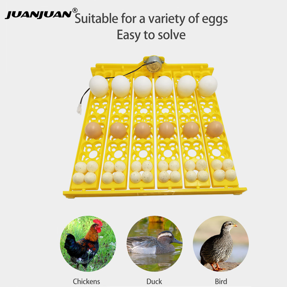 24 Eggs Tray Incubator Turner  - Embroidery Egg ulasan dan harga